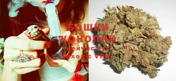 молекула духа Аркадак