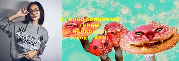 молекула духа Аркадак