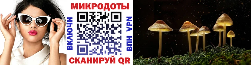 наркотики  ОМГ ОМГ онион  Галлюциногенные грибы GOLDEN TEACHER  Остров 
