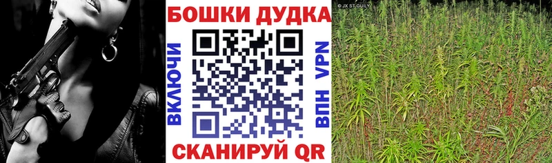 Бошки марихуана Bruce Banner Остров